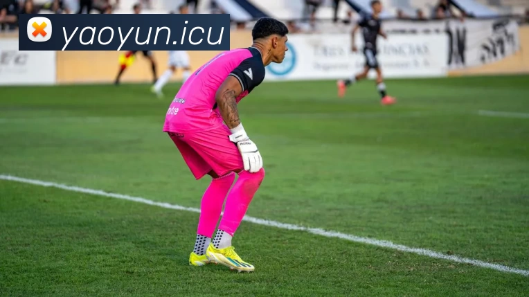 九游(NINE GAME)体育·官方网站 - 中国智慧体育科技领导者 - 九游体育品牌故事